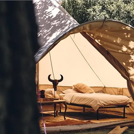 D'artagnan * Margouet-Meymes