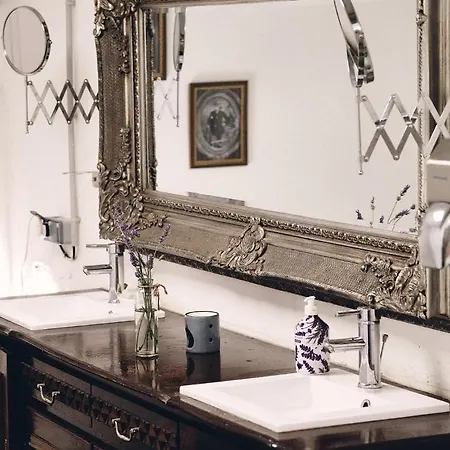 D'artagnan אוהל מפואר *