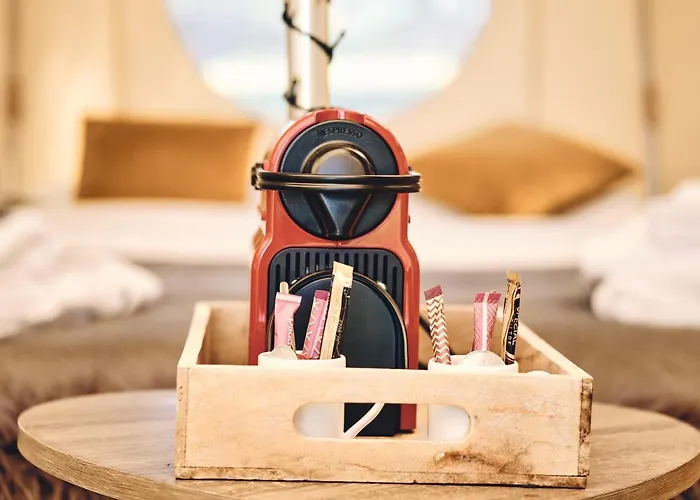 D'artagnan Margouet-Meymes