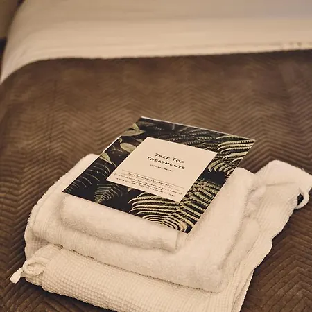 D'artagnan Lüks kamp alanı