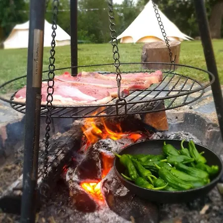 D'artagnan Lüks kamp alanı *