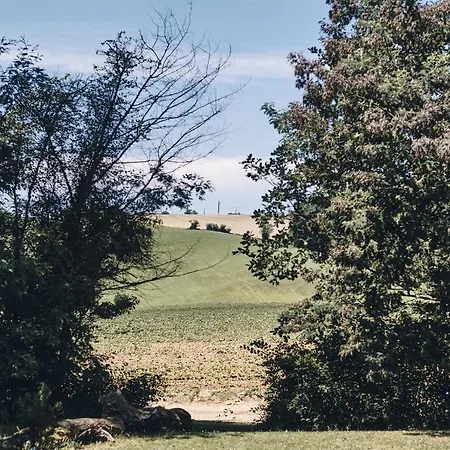 Роскошный шатер D'artagnan Margouet-Meymes