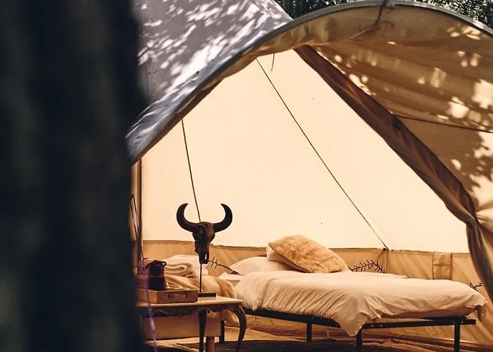 D'artagnan * Margouet-Meymes